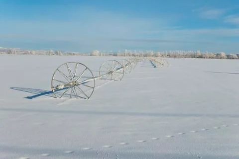 Frozen Wheellines Stock-Fotos