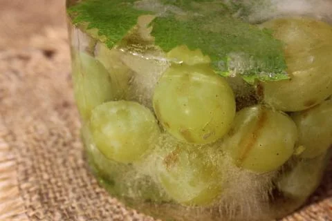 Frozen white grapes Foto stock