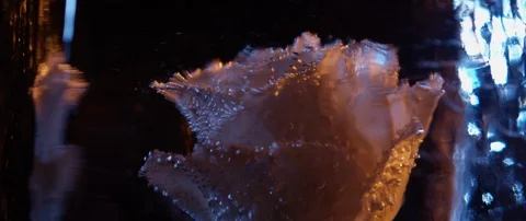 A frozen white rose rotates in an ice cube in darkness Stock Footage 106006294