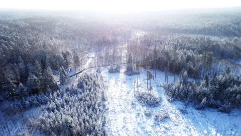 Frozen Wild Forest in Winter, Aerial Scenic View Stock Footage 85355995