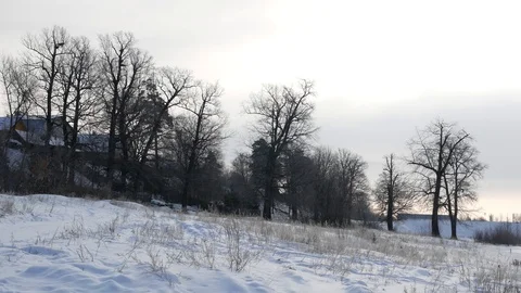Frozen Wilderness Cold Winter Snow Stock Footage 128318714