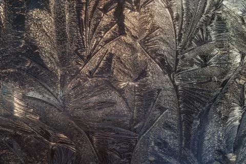 Frozen window glass with a beautiful pattern Stock Photos
