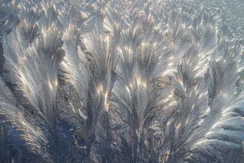 Frozen window glass with a beautiful pattern Stock Photos
