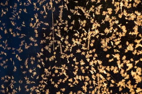 Frozen window glass Stock Photos