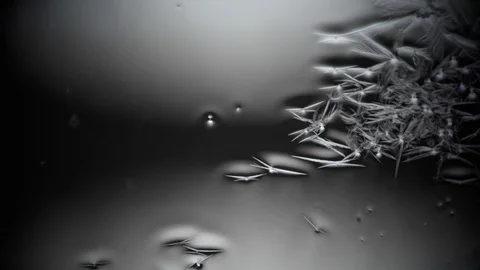 Frozen window. Ice branches cover the window glass Stock-Footage 87459984