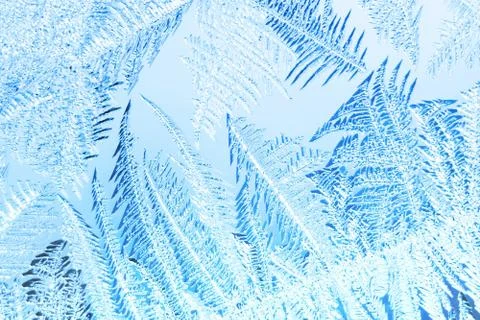 Frozen window Фото