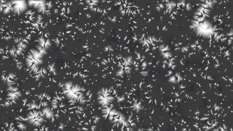 Frozen window wipe transition with alpha Stock Footage 70824600