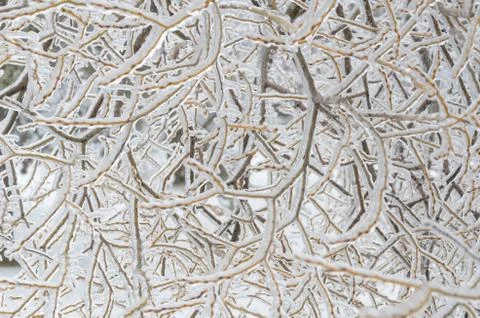 Frozen winter background Fotos de archivo