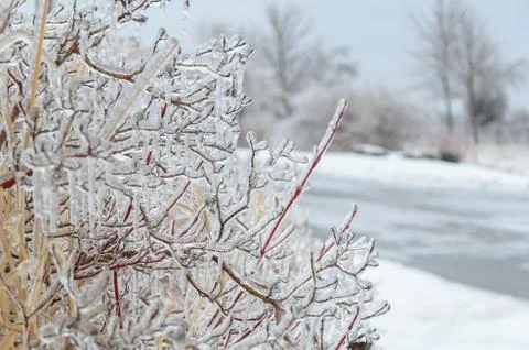 Frozen winter background Stock Photos
