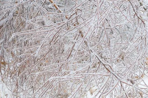 Frozen winter background Stock Photos
