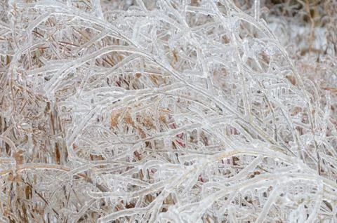 Frozen winter background Stock Photos