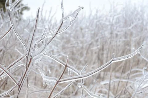Frozen winter background Stock Photos