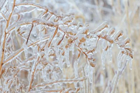 Frozen winter background Stock Photos