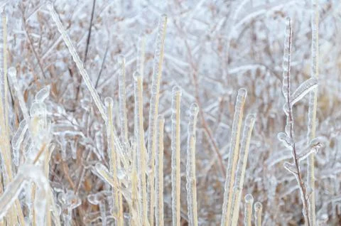 Frozen winter background Stock Photos