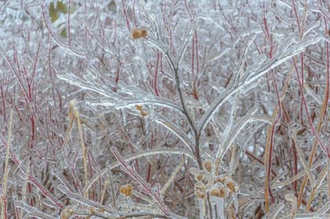 Frozen winter background Stock Photos