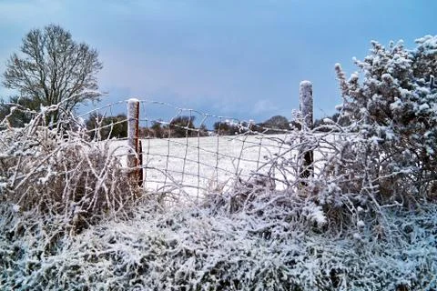 Frozen Winter Field Stock Photos