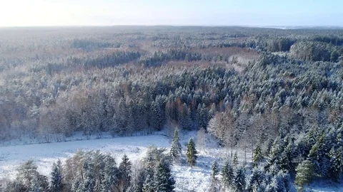Frozen Winter Forest, Aerial View Stock Footage 85357123
