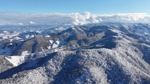 Frozen Winter Forest Aerial View Under Clear Blue Sky Stock Footage 335488095