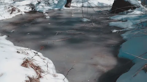 Frozen in the winter forest in the forest Stock Footage 87586228