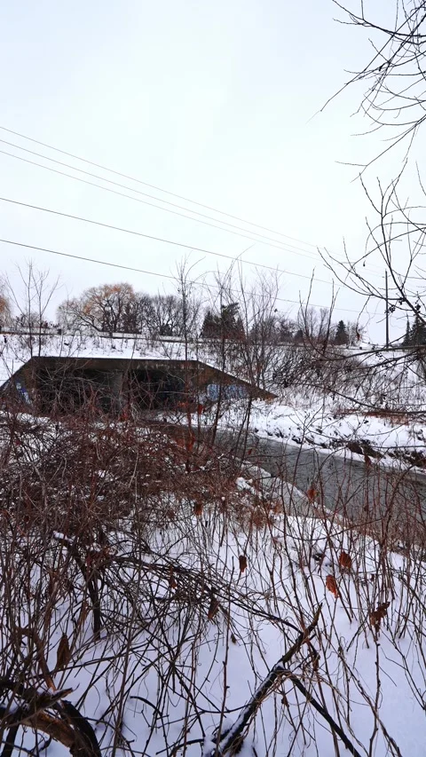 Frozen Winter Forest with River Flowing Through Snow in Courtice Park Vídeo Stock 334546490