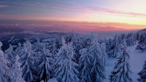 Frozen winter forest with snowy trees in cold sunrise morning nature landscape Stock Footage 152910380