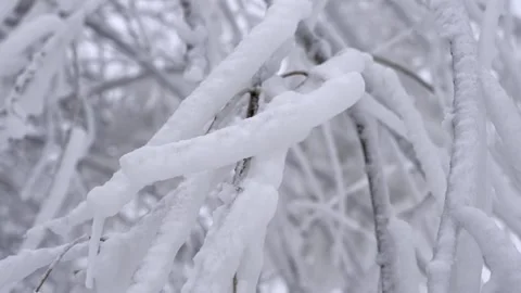 Frozen Winter Landscape Featuring Rime-Covered Trees in Extreme Cold Weather Stock Footage 341867198