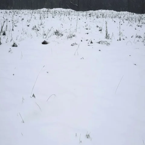 Frozen winter landscape Stock Footage 69121355