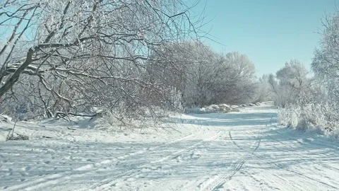 Frozen winter landscape. Stock Footage 85301395