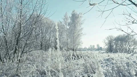 Frozen winter landscape. Stock Footage 85301453