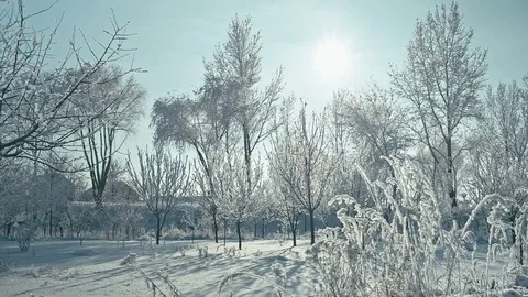 Frozen winter landscape. Stock Footage 85302700