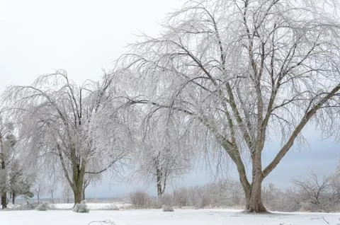 Frozen winter landscape Stock Photos