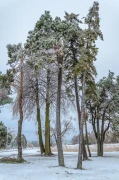 Frozen winter landscape Stock Photos