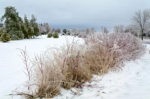 Frozen winter landscape Stock Photos