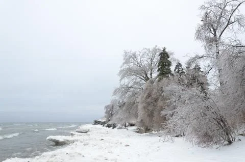 Frozen winter landscape Stock Photos