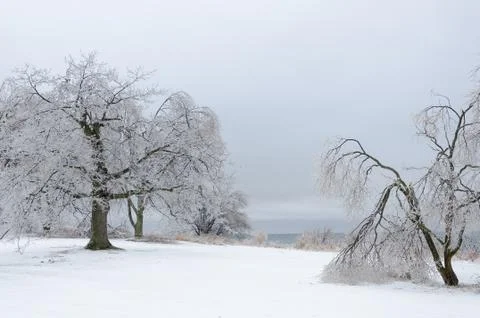 Frozen winter landscape Stock Photos