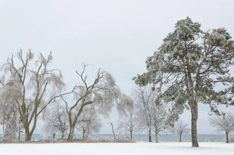 Frozen winter landscape Stock Photos