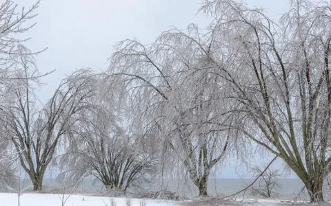 Frozen winter landscape Stock Photos