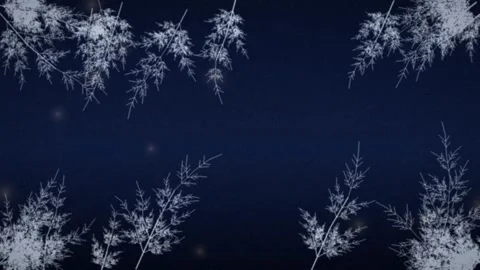 Frozen Winter Leaves Frame on Dark Blue Background Animation Stock-Footage 347810038