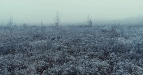 Frozen winter nature drone flight amazing plants with snow Stock-Footage 84308875