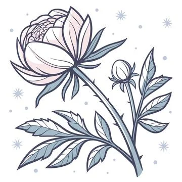 Frozen Winter Peony Bloom Vector Illustration Stock Illustration