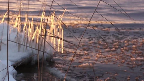 Frozen winter sea illuminated by the rays Stock Footage 329736076