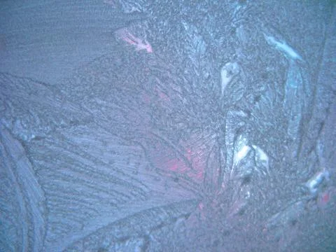 Frozen winter window Stock Photos