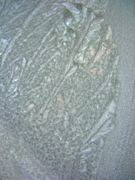 Frozen winter window Stock Photos