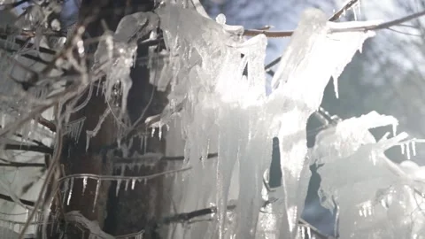 Frozen winter wonderland Stock-Footage 152829688