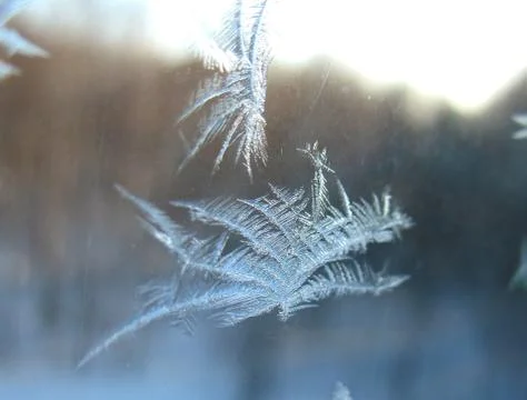 Frozen wintwr window Stock Photos