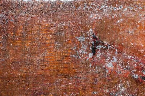 Frozen wooden surface texture background. Stock Photos