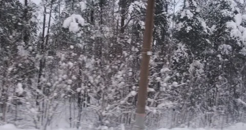 The frozen woods appear to dance as the train moves, showcasing a snowy winter Vídeo Stock 253643693