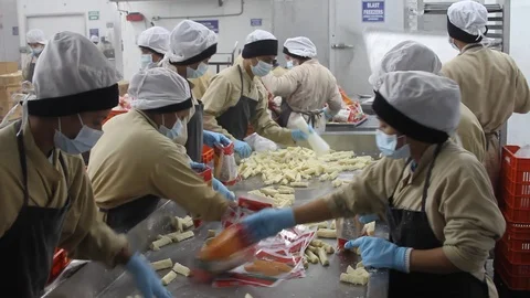Frozen Yuca processing Stock Footage 91333741
