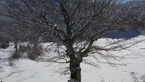 FrozenLakeVentasso Stock-Footage 149354705