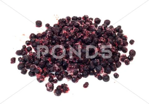 Frozenned whortleberry Stock Photos